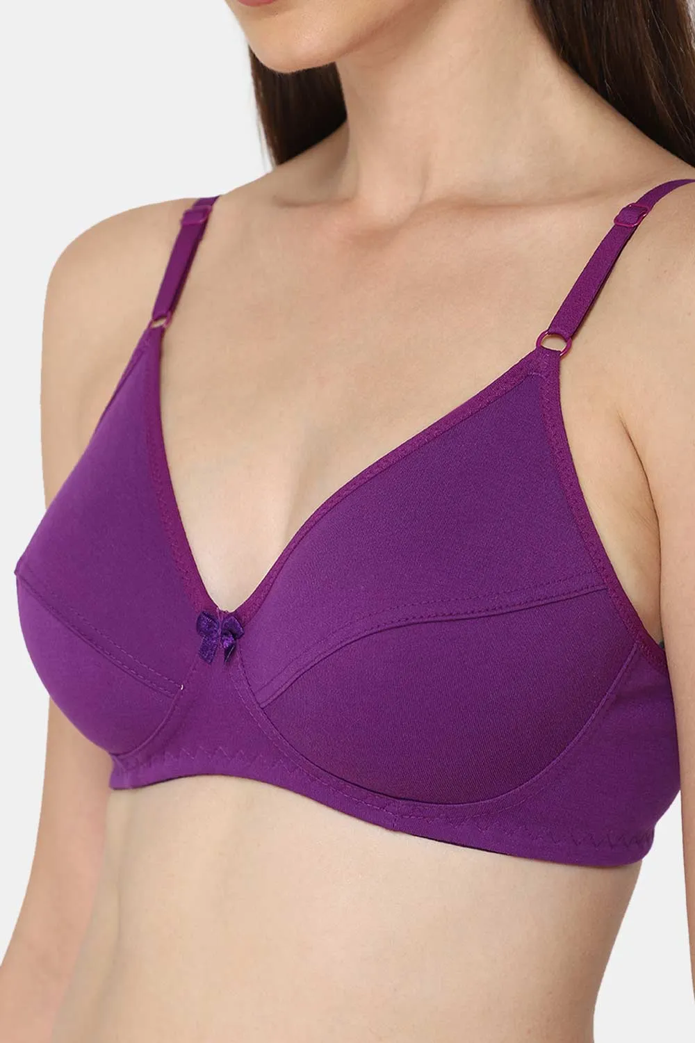 Intimacy Saree Bra Special Combo Pack – Stylish and Comfortable Bras for Everyday Wear (INT05 - C34)